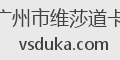 广州市维莎道卡