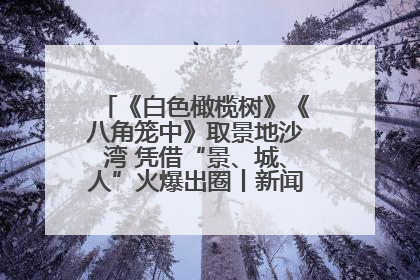 《白色橄榄树》《八角笼中》取景地沙湾 凭借“景、城、人”火爆出圈丨新闻发布最前线