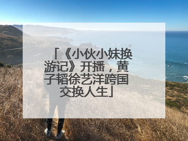 《小伙小妹换游记》开播，黄子韬徐艺洋跨国交换人生
