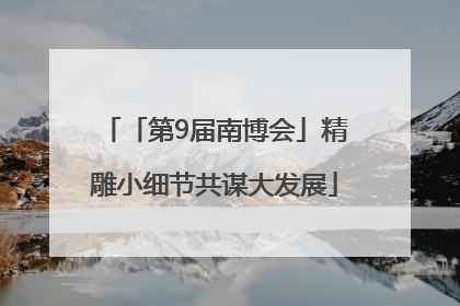 「第9届南博会」精雕小细节共谋大发展