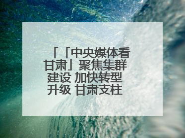 「中央媒体看甘肃」聚焦集群建设 加快转型升级 甘肃支柱产业增势强劲