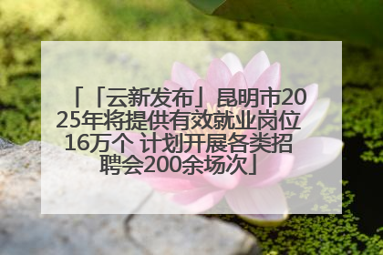 「云新发布」昆明市2025年将提供有效就业岗位16万个 计划开展各类招聘会200余场次