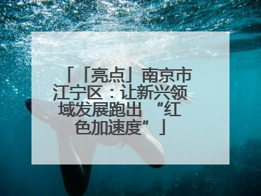 「亮点」南京市江宁区：让新兴领域发展跑出 “红色加速度”
