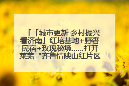 「城市更新 乡村振兴看济南」红培基地+野奢民宿+玫瑰秘境……打开莱芜“齐鲁情映山红片区”的破圈秘籍
