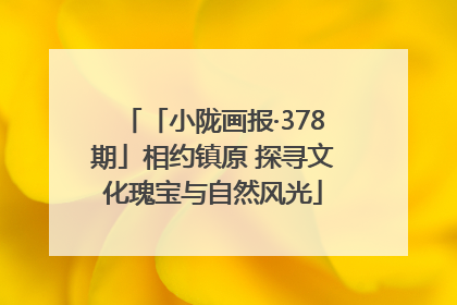「小陇画报·378期」相约镇原 探寻文化瑰宝与自然风光