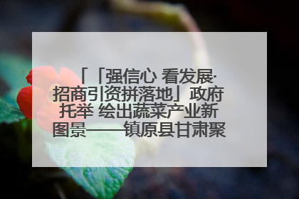 「强信心 看发展·招商引资拼落地」政府托举 绘出蔬菜产业新图景——镇原县甘肃聚广利现代设施蔬菜种植基地见闻