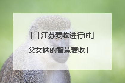 「江苏麦收进行时」父女俩的智慧麦收