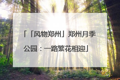 「风物郑州」郑州月季公园：一路繁花相迎