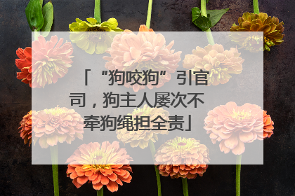 “狗咬狗”引官司，狗主人屡次不牵狗绳担全责
