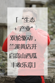 “生态 + 产业”双轮驱动，兰溪黄店开启高山西瓜丰收乐章