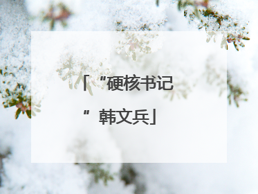 “硬核书记”韩文兵