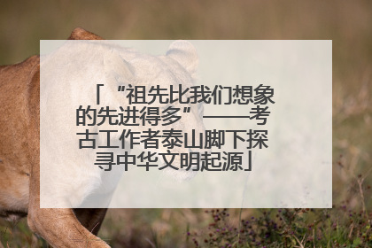 “祖先比我们想象的先进得多”——考古工作者泰山脚下探寻中华文明起源