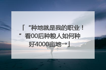“种地就是我的职业！”看00后种粮人如何种好4000亩地→