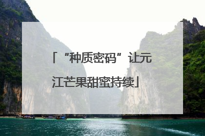 “种质密码”让元江芒果甜蜜持续