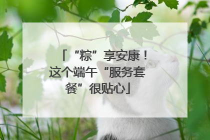 “粽”享安康！这个端午“服务套餐”很贴心