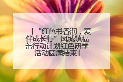 “红色书香润，爱伴成长行”凤城镇福蕾行动计划红色研学活动圆满结束