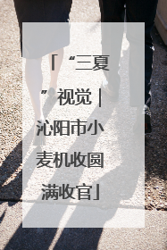 “三夏”视觉｜沁阳市小麦机收圆满收官