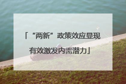 “两新”政策效应显现 有效激发内需潜力