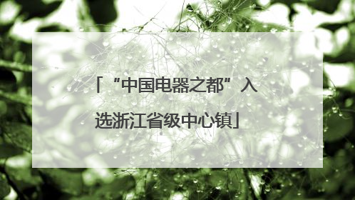 “中国电器之都”入选浙江省级中心镇