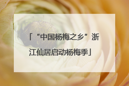 “中国杨梅之乡”浙江仙居启动杨梅季