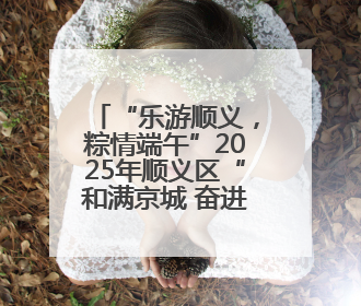 “乐游顺义，粽情端午”2025年顺义区“和满京城 奋进九州”端午主题活动启幕