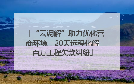 “云调解”助力优化营商环境，20天远程化解百万工程欠款纠纷