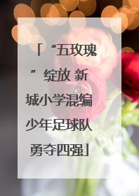 “五玫瑰”绽放 新城小学混编少年足球队勇夺四强