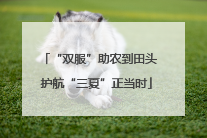 “双服”助农到田头 护航“三夏”正当时