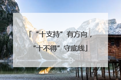 “十支持”有方向，“十不得”守底线