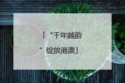 “千年越韵”绽放港澳