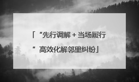 “先行调解＋当场履行”高效化解邻里纠纷