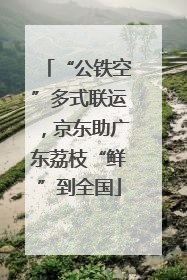 “公铁空”多式联运，京东助广东荔枝“鲜”到全国