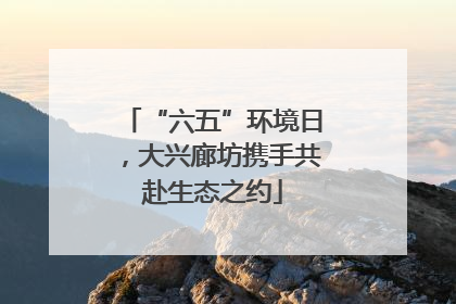 “六五”环境日，大兴廊坊携手共赴生态之约