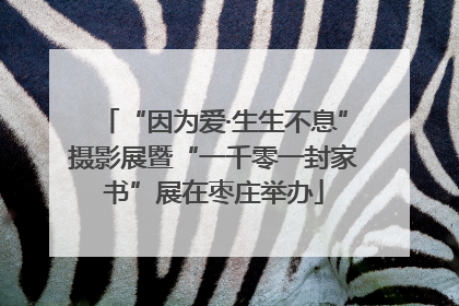 “因为爱·生生不息”摄影展暨“一千零一封家书”展在枣庄举办