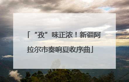 “孜”味正浓！新疆阿拉尔市奏响夏收序曲