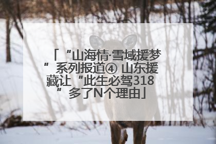 “山海情·雪域援梦”系列报道④ 山东援藏让“此生必驾318”多了N个理由