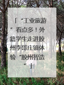 “工业旅游”看点多！外籍学生走进胶州李哥庄镇体验“胶州智造”