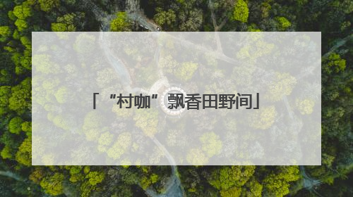 “村咖”飘香田野间