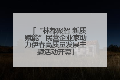 “林都聚智 新质赋能”民营企业家助力伊春高质量发展主题活动开幕