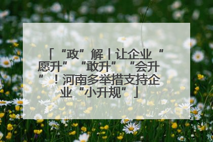 “政”解丨让企业“愿升”“敢升”“会升”！河南多举措支持企业“小升规”