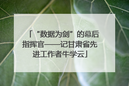 “数据为剑”的幕后指挥官——记甘肃省先进工作者牛学云