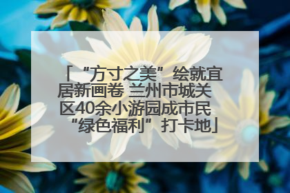 “方寸之美”绘就宜居新画卷 兰州市城关区40余小游园成市民“绿色福利”打卡地