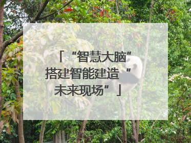 “智慧大脑”搭建智能建造“未来现场”