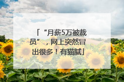 “月薪5万被裁员”，网上突然冒出很多！有猫腻