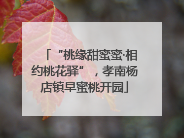 “桃缘甜蜜蜜·相约桃花驿”，孝南杨店镇早蜜桃开园