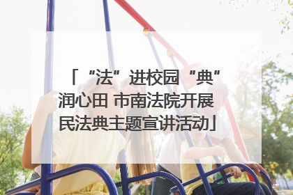 “法”进校园“典”润心田 市南法院开展民法典主题宣讲活动