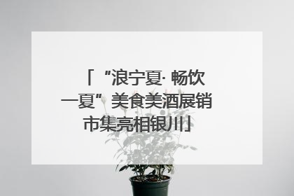 “浪宁夏· 畅饮一夏”美食美酒展销市集亮相银川