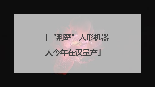 “荆楚”人形机器人今年在汉量产