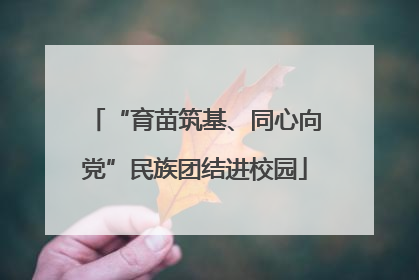 “育苗筑基、同心向党”民族团结进校园