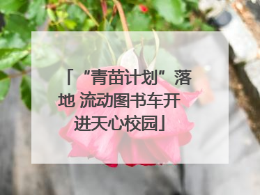 “青苗计划”落地 流动图书车开进天心校园